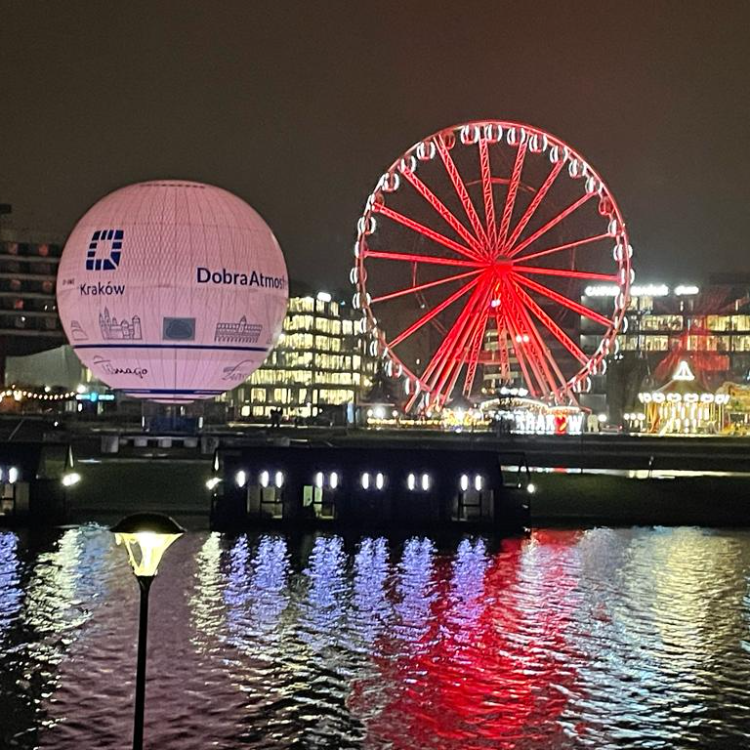 Obraz produktu: Dorosły (Adult)